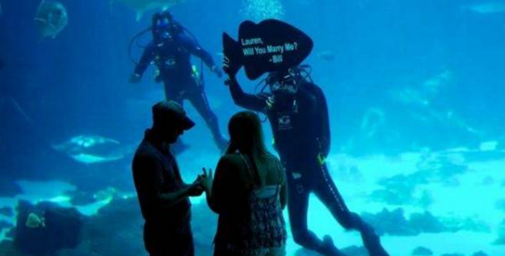 全球最大的水族馆，为保护海洋生物，游客进入需要严格的安检！