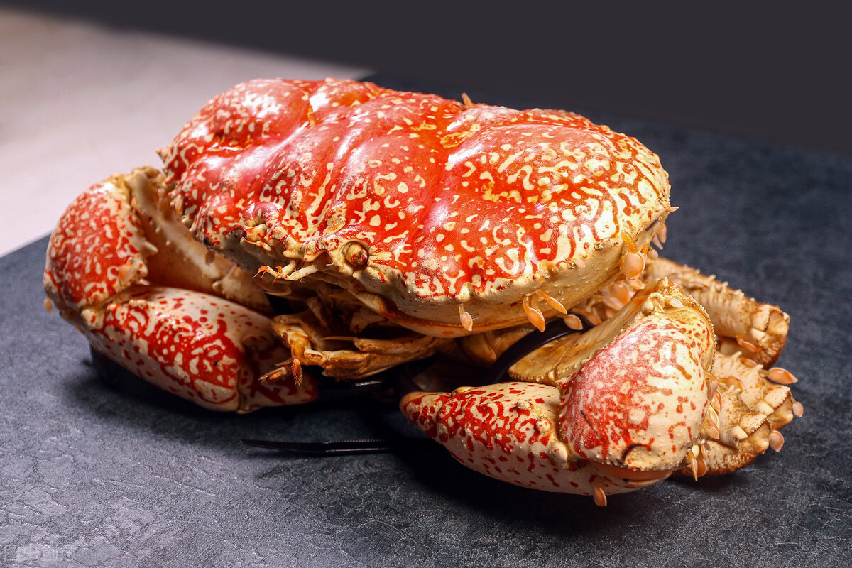 世界上五个最大的螃蟹，虽然很大，但吃着很香