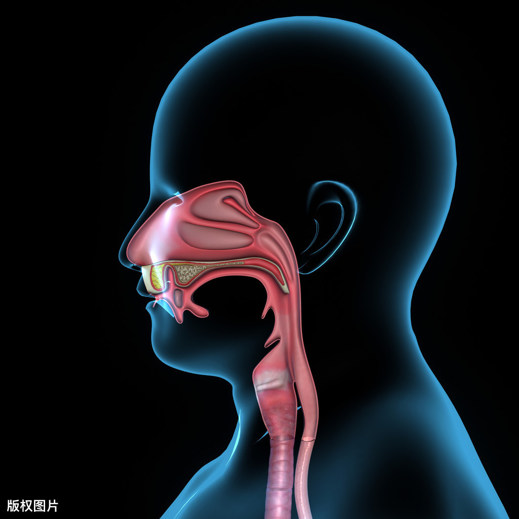 肾虚有6大表现，一个距今1400年的中医健身术，让肾气充沛起来